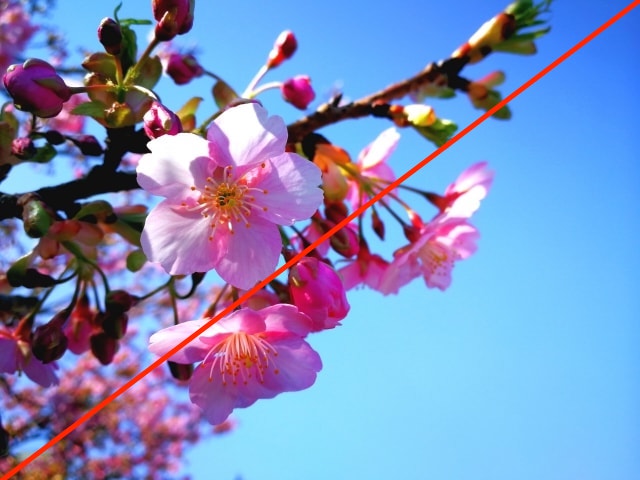 picture